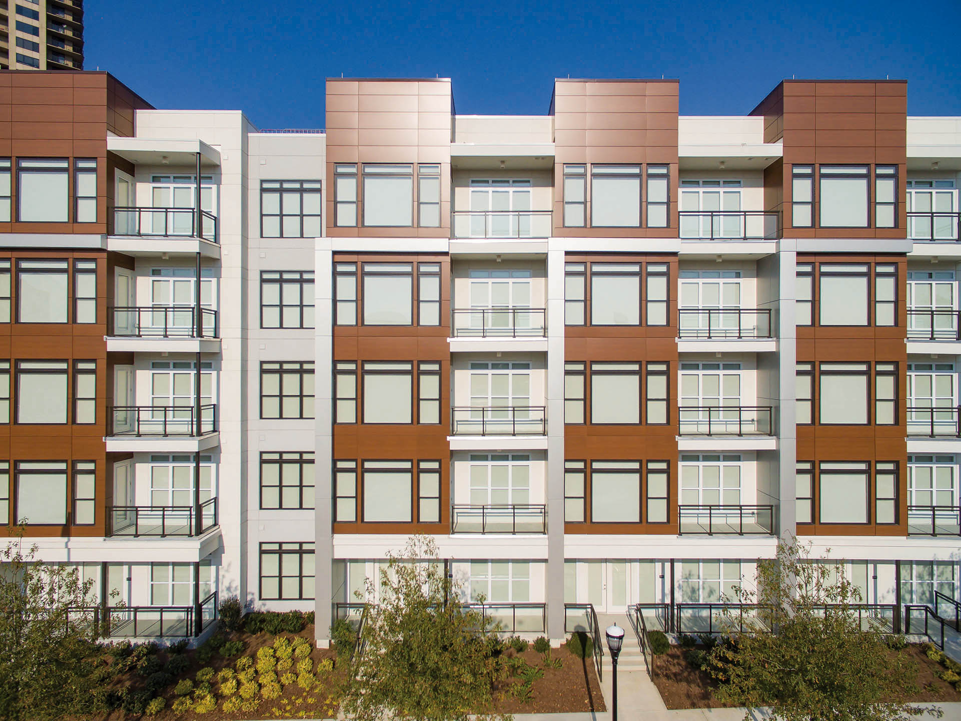 AMLI 3464 Cooper Carry