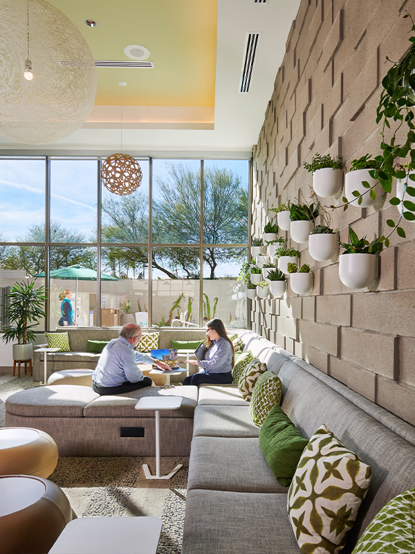 Four Ways to Add Biophilia to a Space