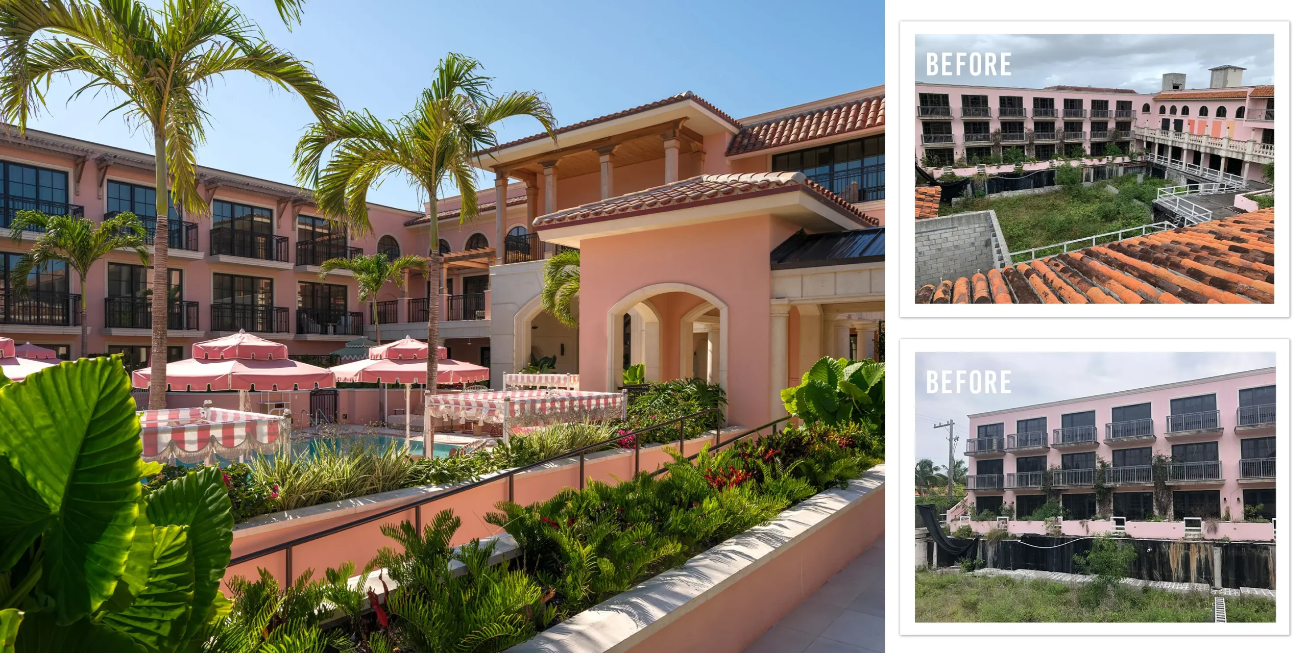 Palm House Hotel Renovation